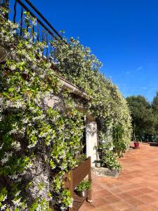 B&B / Chambres d'hotes Natur & Jasmin Chambres d'hotes naturistes en Provence : photos des chambres