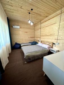 Eco-friendly Guesthouse Tea Gezruli 25 km from Chiatura