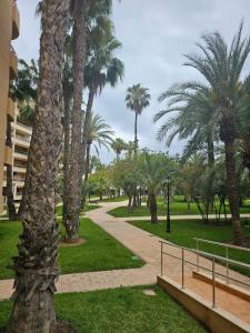 First line sea apartments