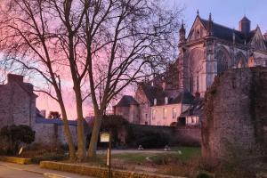 Maisons de vacances Maison, Cite Plantagenet : photos des chambres