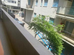 Appartamento Casa Vacanza Marina Centro Rimini