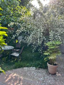 Appartements Charming independent guest house - Grand studio avec terrasse et jardin : Appartement 1 Chambre