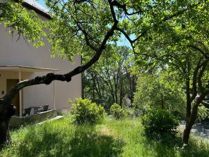 Apartamenty Oaza Spokoju