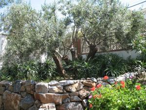 Villa with Private Pool room in Villa Manzanilla Malaga