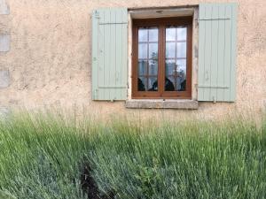 Appartements GITE AUX VIEUX BOIS : photos des chambres