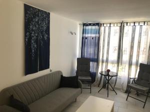 ALOE Suite Laurent-Gael