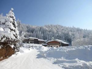 Appartements Studio FLOCON 18m2 en RDC : Studio