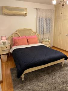 Lovely furnished 2-bedroom apartment with balcony