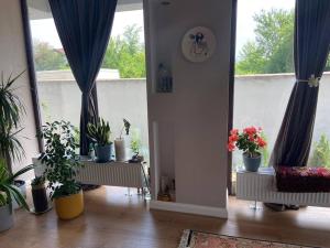 Apartment with garden
