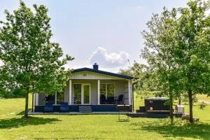 5 Nameliai - lavysas