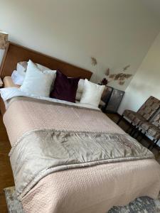 Spyglių apartamentai