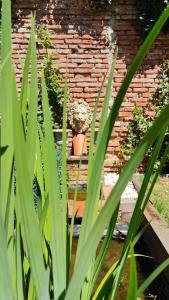 Appartements Le Jardin Secret - Piscine - Clim - Haut de gamme : photos des chambres