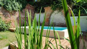 Appartements Le Jardin Secret - Piscine - Clim - Haut de gamme : photos des chambres