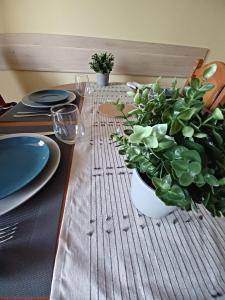 Adriatic Oasis Apartments