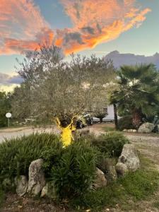 Maisons de vacances Maison de 2 chambres avec piscine partagee jardin clos et wifi a Ghisonaccia : photos des chambres