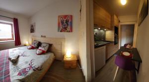 Appartements Gite Myosotis, studio 2 personnes, avec salle de jeux et SPA dans la residence : photos des chambres