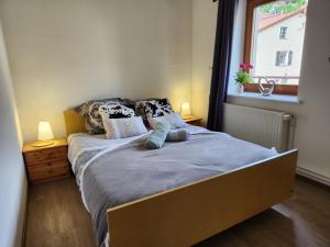 Appartements Gite Bruyere 2 a 6 pers dans Residence des Buis avec SPA : photos des chambres