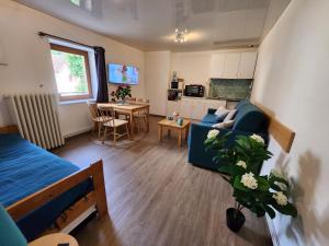 Gite Bruyère, 2 à 5 personnes avec salle de jeux et SPA dans la résidence