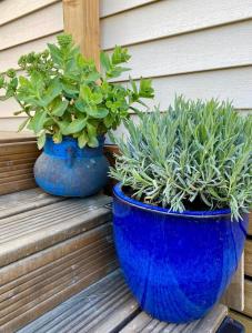 La Paillote de Claire