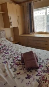 Holiday Lodge, sleeps 4, with sea & countryside views