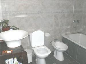 Cabaña con costa de arroyo