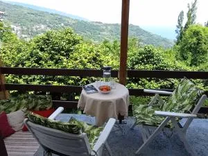 Beautiful Pelion Guesthouse with Spectacular Views - 基索斯