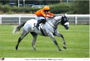 B&B / Chambres d'hotes Decouverte d'un Haras proche du Mont St Michel : photos des chambres