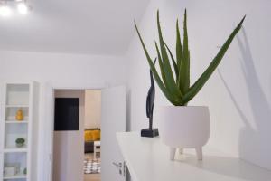 Joy City Stay Versului 8