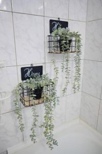 Joy City Stay Versului 8