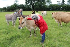 B&B / Chambres d'hotes Decouverte d'un Haras proche du Mont St Michel : photos des chambres