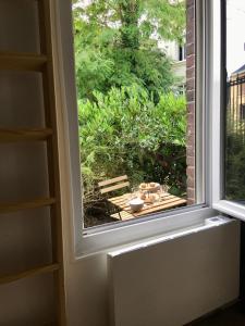 La cabane urbaine et son jardin