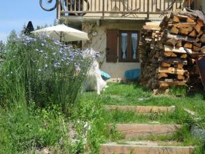 Appartements Studio en rez de chaussee, avec jardin partage. : photos des chambres