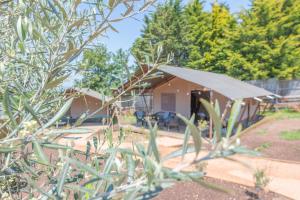 Luxury Glamping at Stags Head