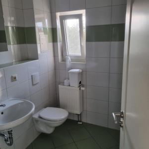 Appartmenthaus Zum Goldstern Monteurswohnung