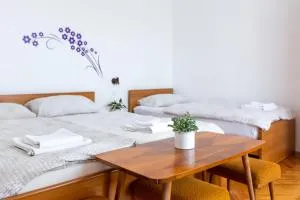 Apartments and Rooms Ješelnik - 波尔托罗