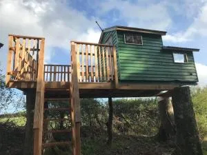 Tree house and shepherds hut - 阿什伯顿