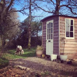 Tree house and shepherds hut & Hot Tub