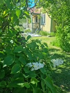 Charmigt hus på landet nära till bad - Kornsjø