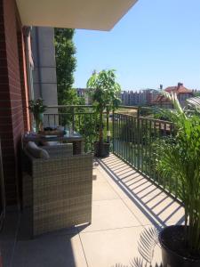 Apartament 160m2, 500m od Starówki