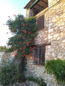 Maisons de vacances Gorges du Verdon : Guest house avec piscine : photos des chambres