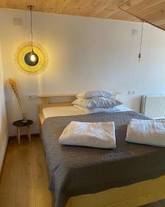 Pensiunea Bradet - Padis