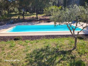 Appartements Un ecrin de verdure et plus.. : photos des chambres