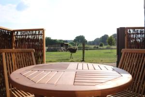 Tiny-Haus Straußenblick 1