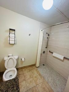 King Room - Accessible/Non-Smoking room in Rodeway Inn