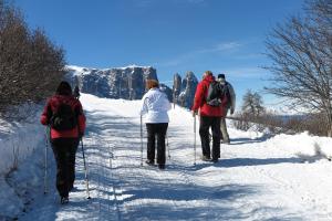 Apartment Puciacia - Bauernhof