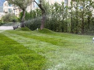 Nereus Luxury Apartments