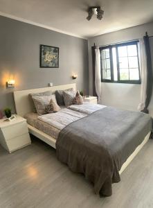 Apartamentos Albatros