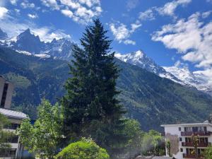 2 Pièces à Chamonix, Vue Mont-Blanc, Animaux admis, Parking - FR-1-517-26