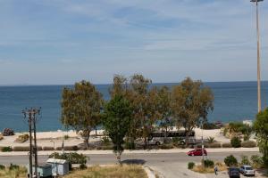 Standard Single Room with Sea View room in Delfini Hotel