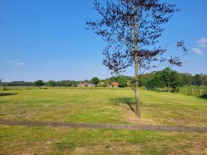 Secret Wellness Lonneker